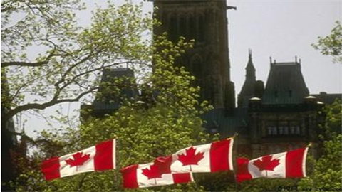 留学加拿大可能会触犯的法律