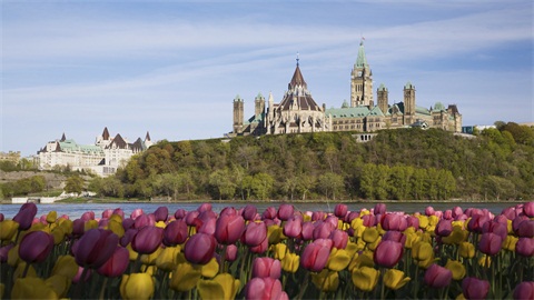 加拿大留学 避免申请“雷区”